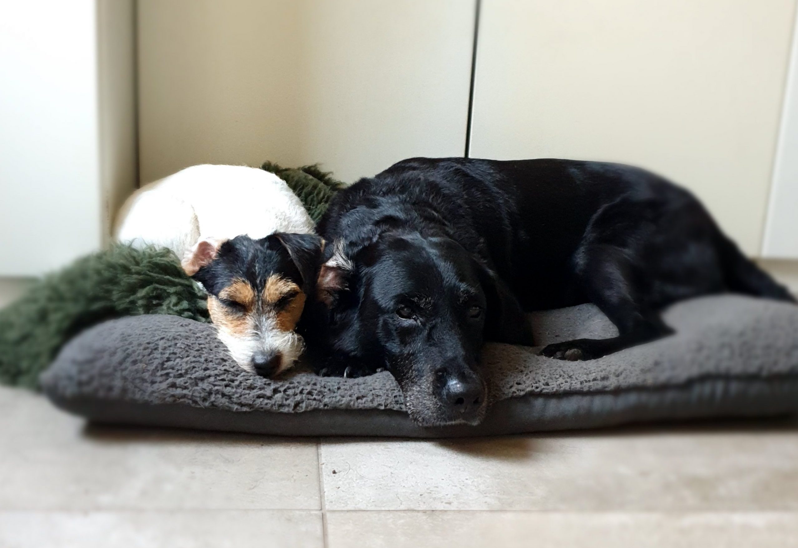 Unsere Philosophie: Leidenschaft trifft auf Verantwortung