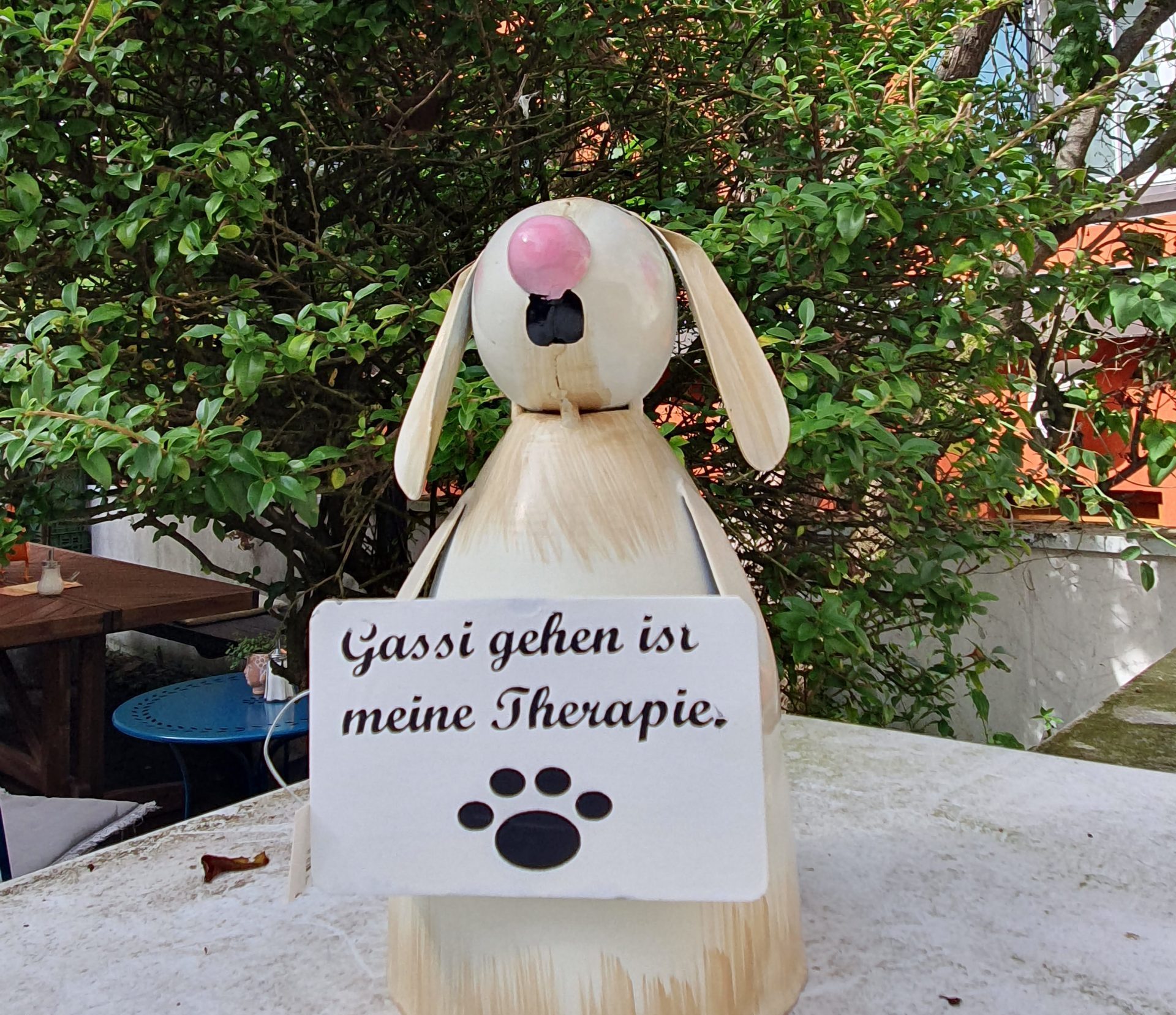 Tipps für zukünftige Parson Russell Terrier Besitzer